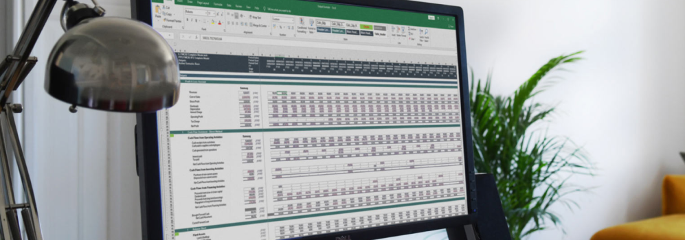 Financial Modelling Consultant